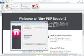 nitro pdf editor pro 10 fee